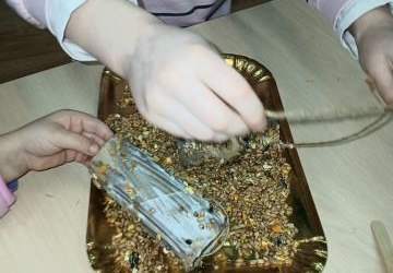 Karmniki dla ptaków